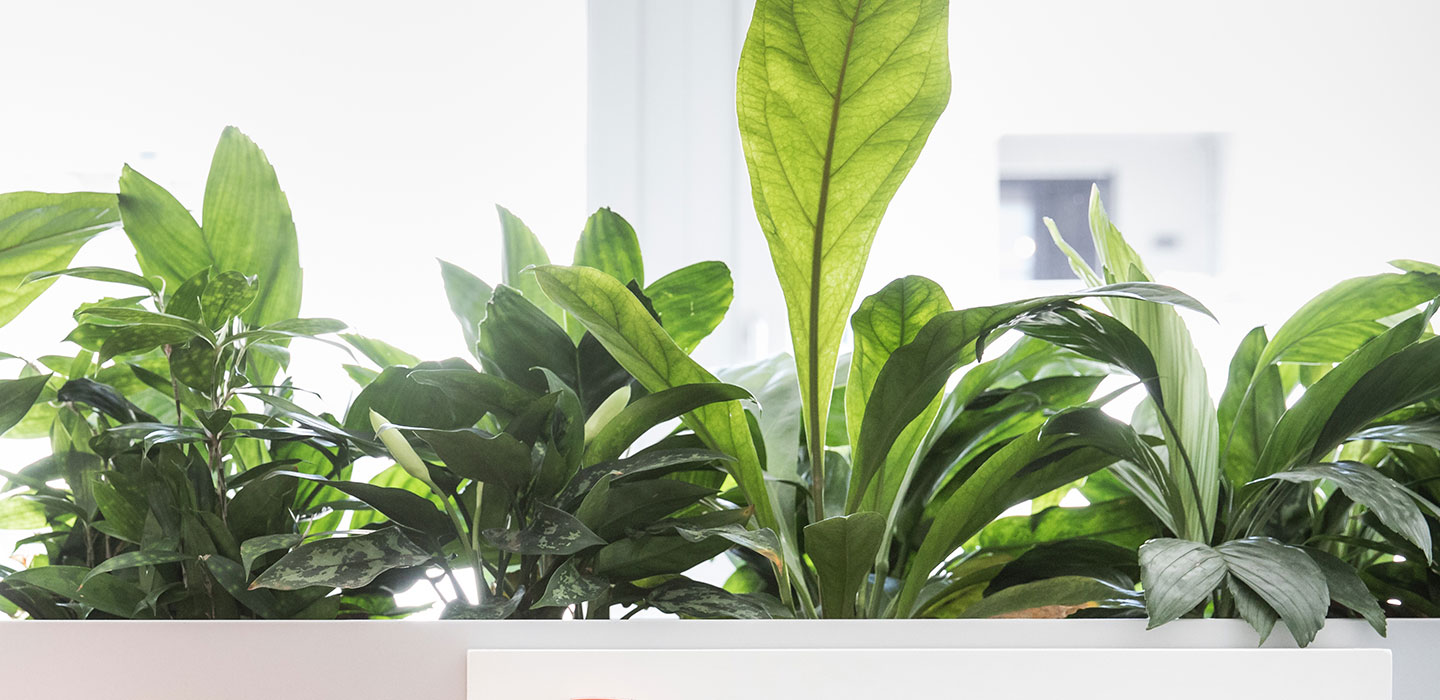 Teamgeist trifft Steuerpower – Mandantenzeitschrift tatort:steuern